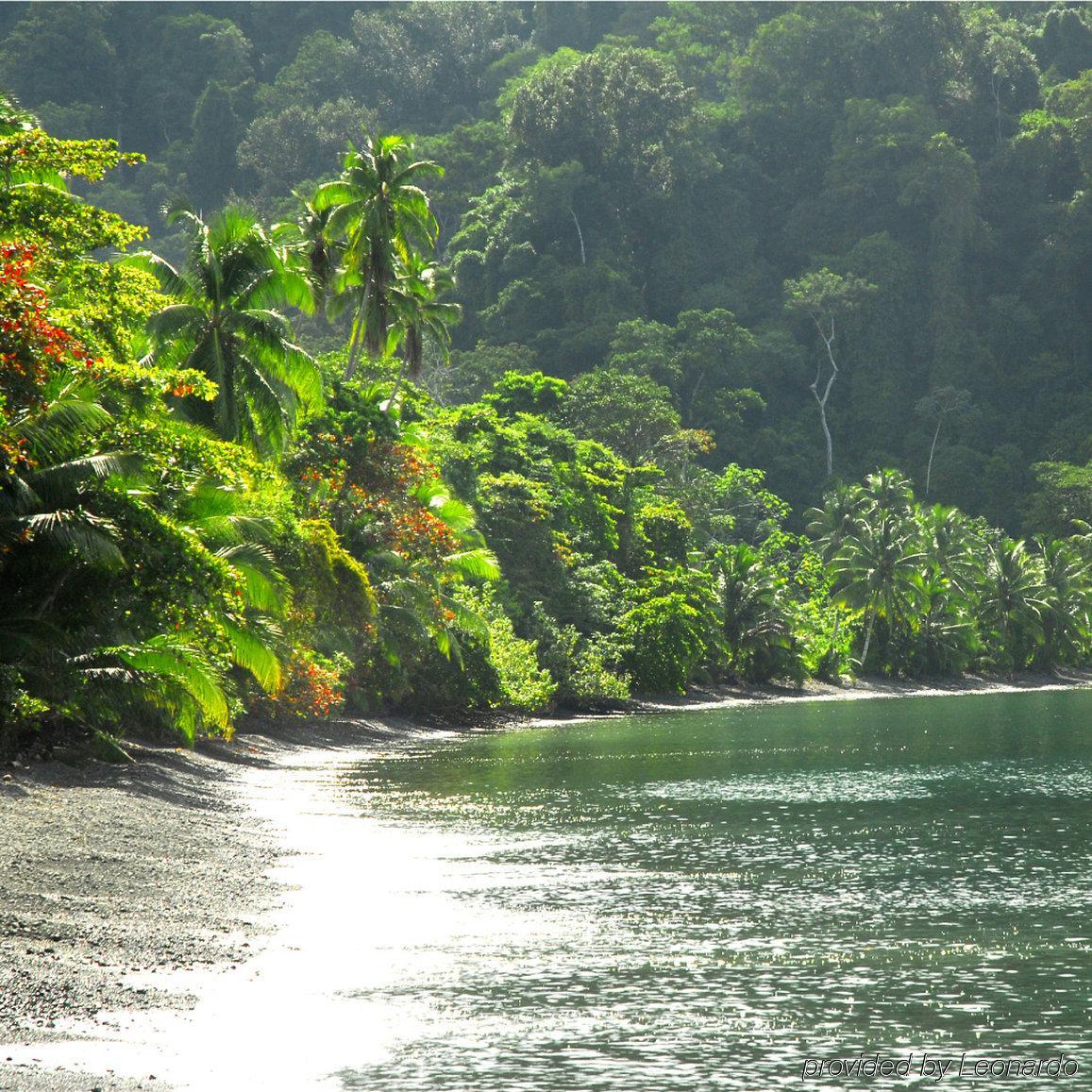 Playa Nicuesa Rainforest Eco Sanctuary Golfito Exterior foto