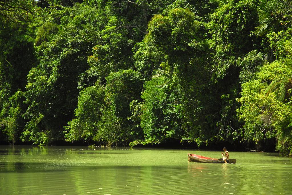 Playa Nicuesa Rainforest Eco Sanctuary Golfito Exterior foto