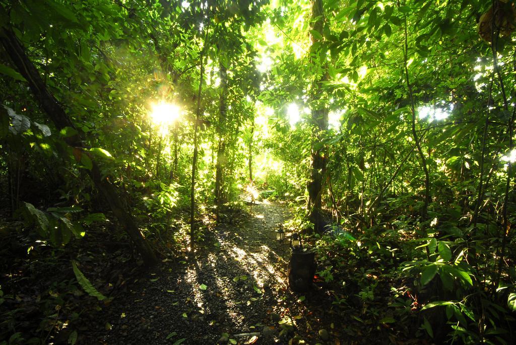 Playa Nicuesa Rainforest Eco Sanctuary Golfito Exterior foto